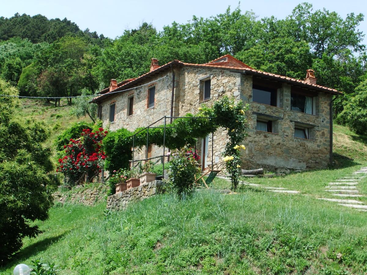 شقة بيسيا  في Fattoria Di Pietrabuona المظهر الخارجي الصورة