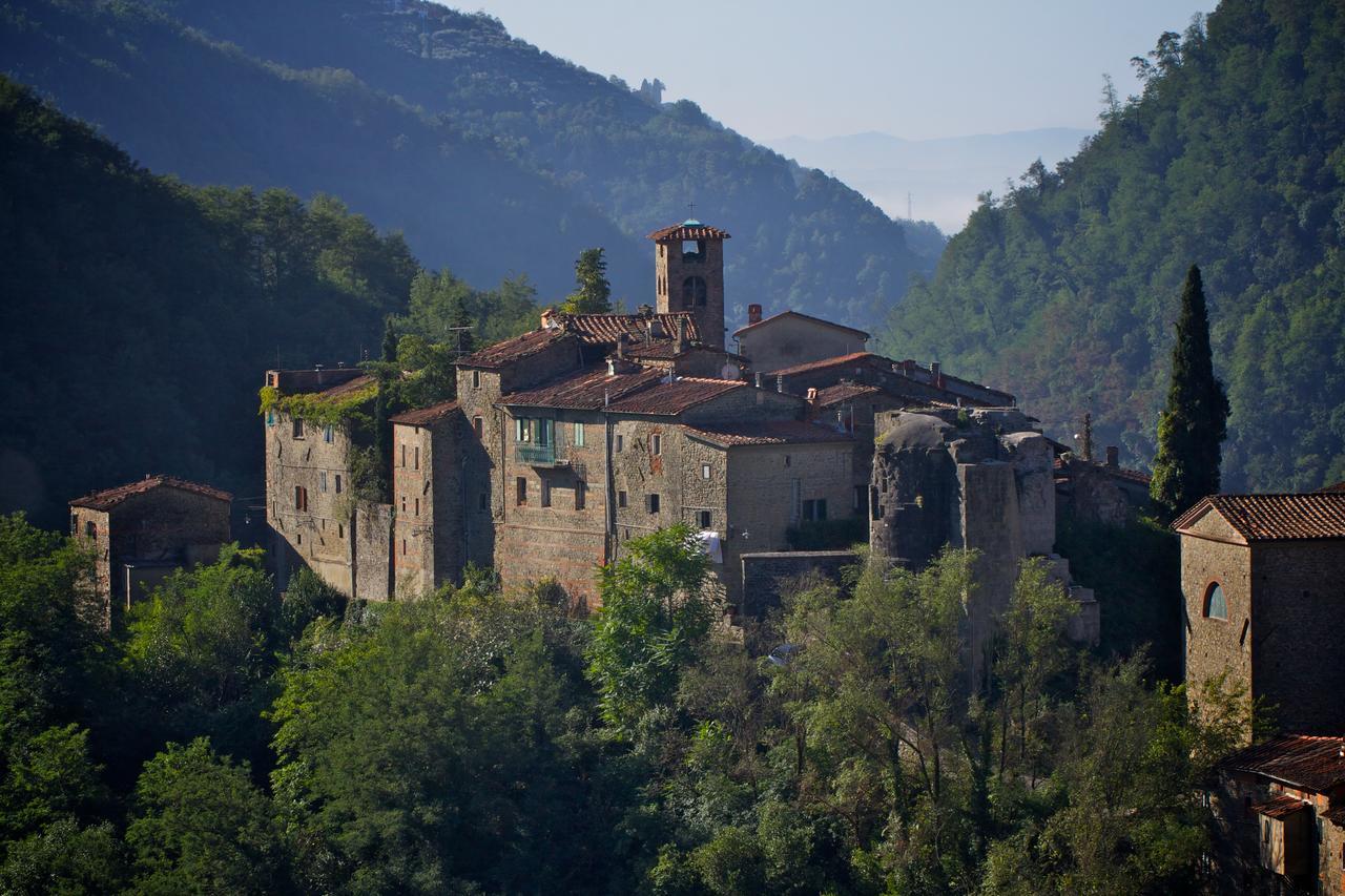شقة بيسيا  في Fattoria Di Pietrabuona المظهر الخارجي الصورة