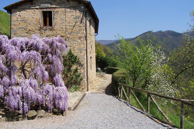 شقة بيسيا  في Fattoria Di Pietrabuona المظهر الخارجي الصورة