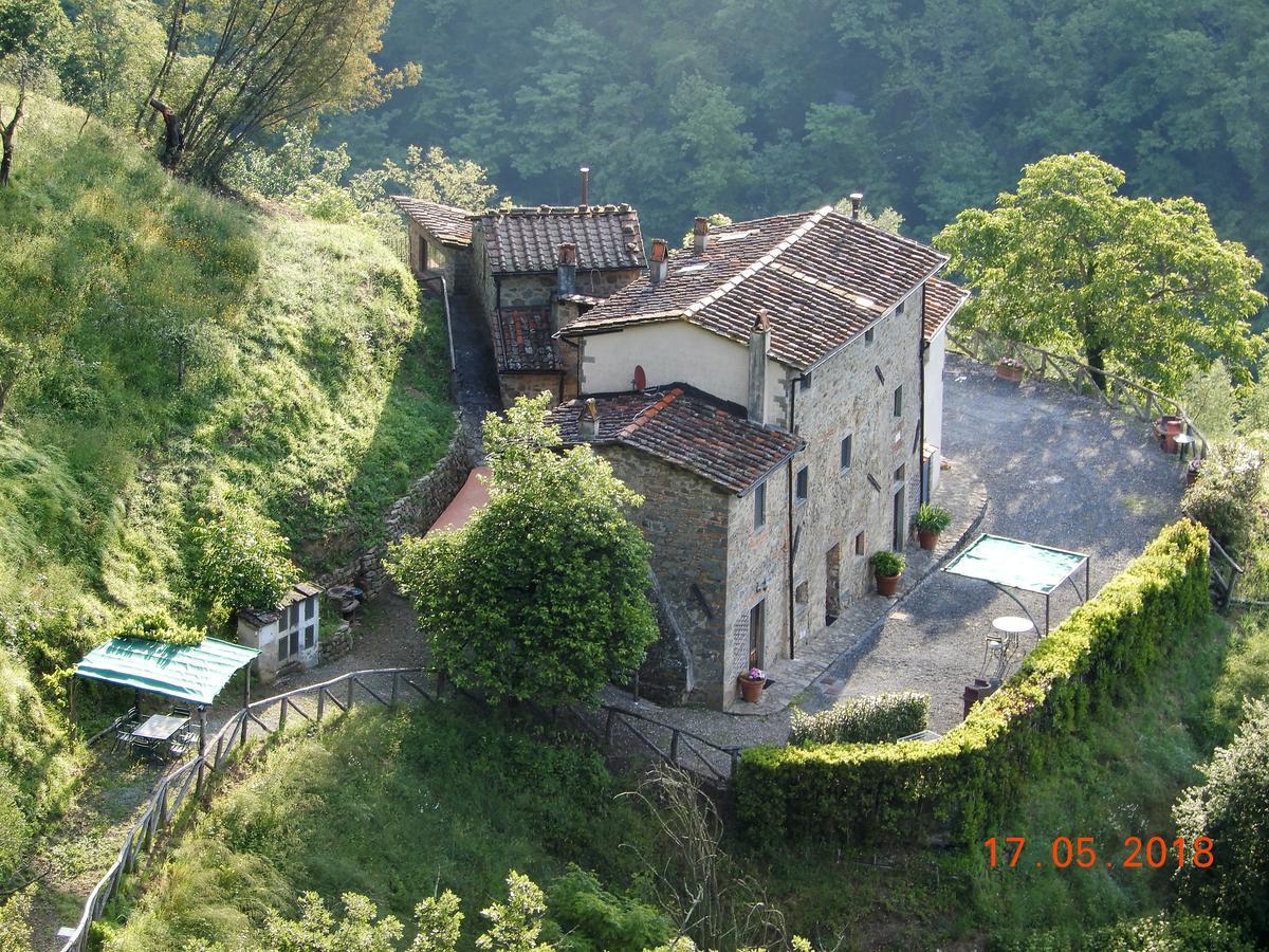 شقة بيسيا  في Fattoria Di Pietrabuona المظهر الخارجي الصورة