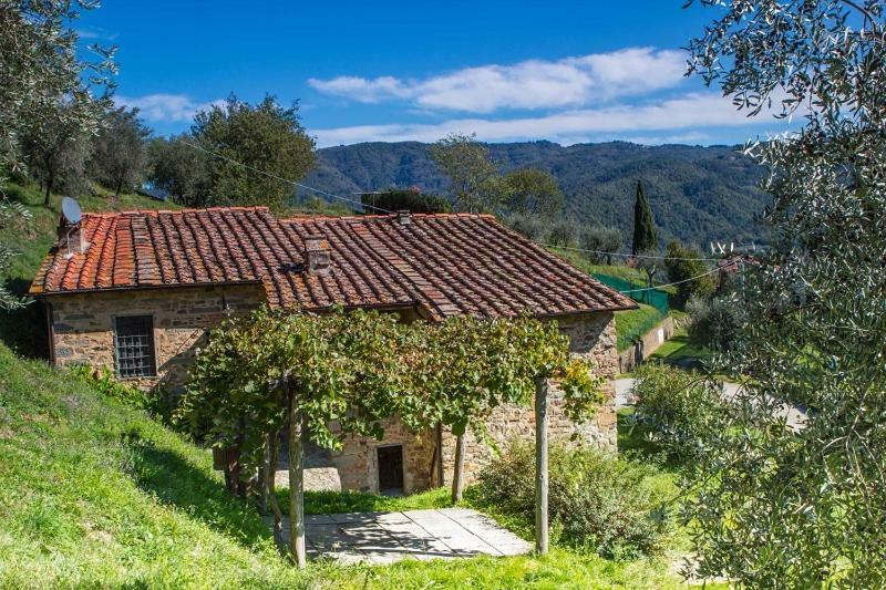شقة بيسيا  في Fattoria Di Pietrabuona المظهر الخارجي الصورة