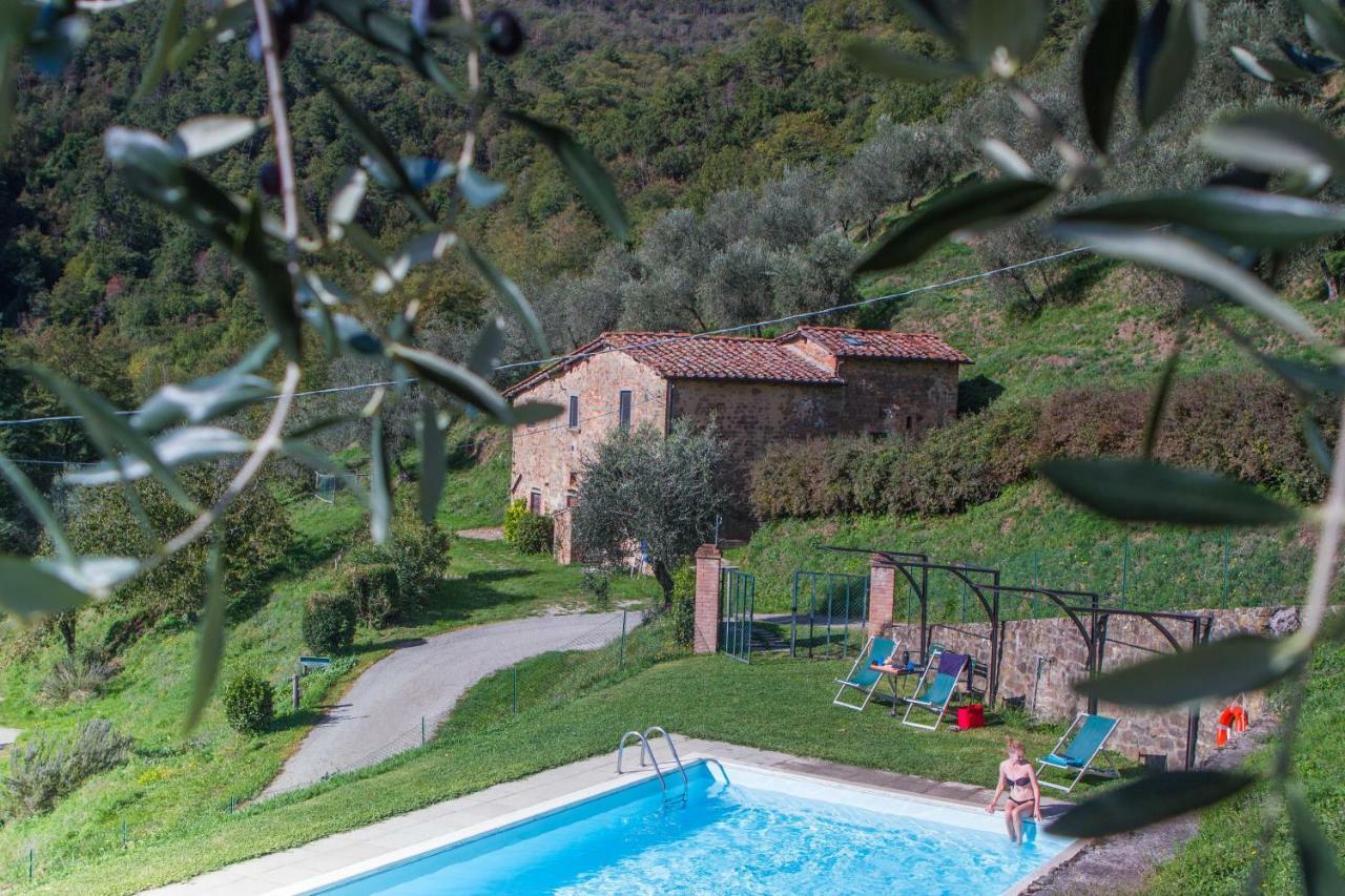 شقة بيسيا  في Fattoria Di Pietrabuona المظهر الخارجي الصورة